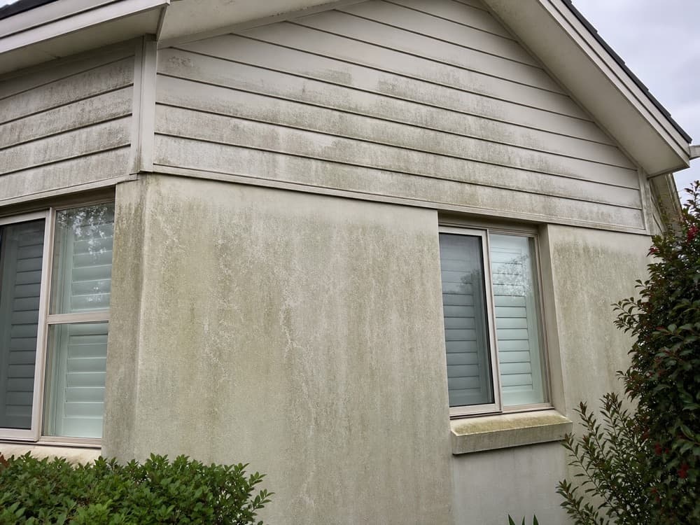Render & Cladding before cleaning